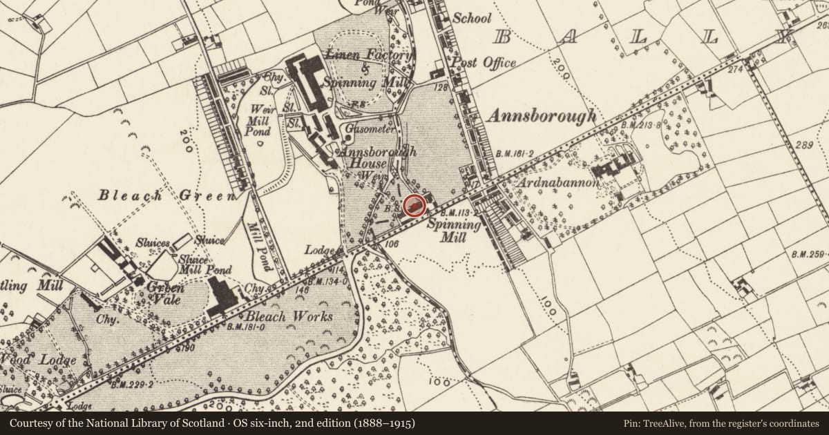 Ordnance Survey six-inch map, 2nd edition (1888–1915) covering the location of The Old Mill, Newry, Mourne and Down, with a pin at the register's coordinates