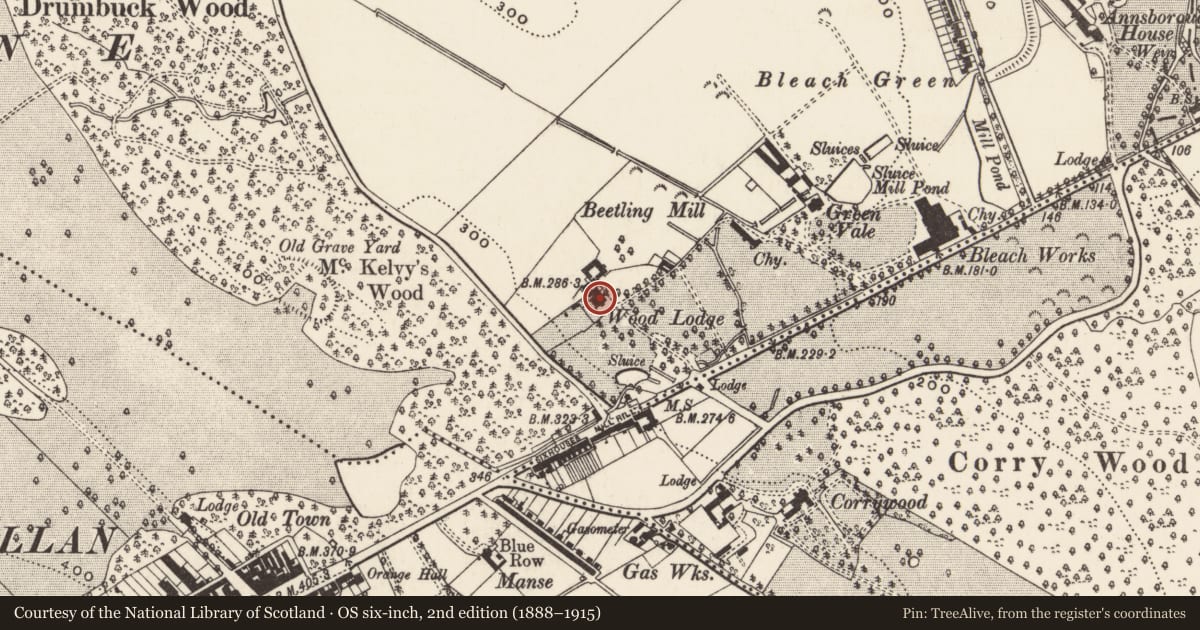 Ordnance Survey six-inch map, 2nd edition (1888–1915) covering the location of Wood Lodge, Newry, Mourne and Down, with a pin at the register's coordinates