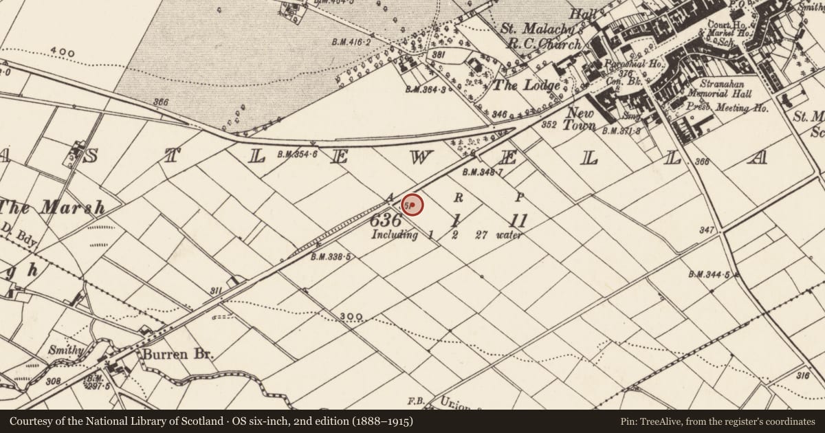 Ordnance Survey six-inch map, 2nd edition (1888–1915) covering the location of 1, 2-7 Priests' Houses, Newry, Mourne and Down, with a pin at the register's coordinates