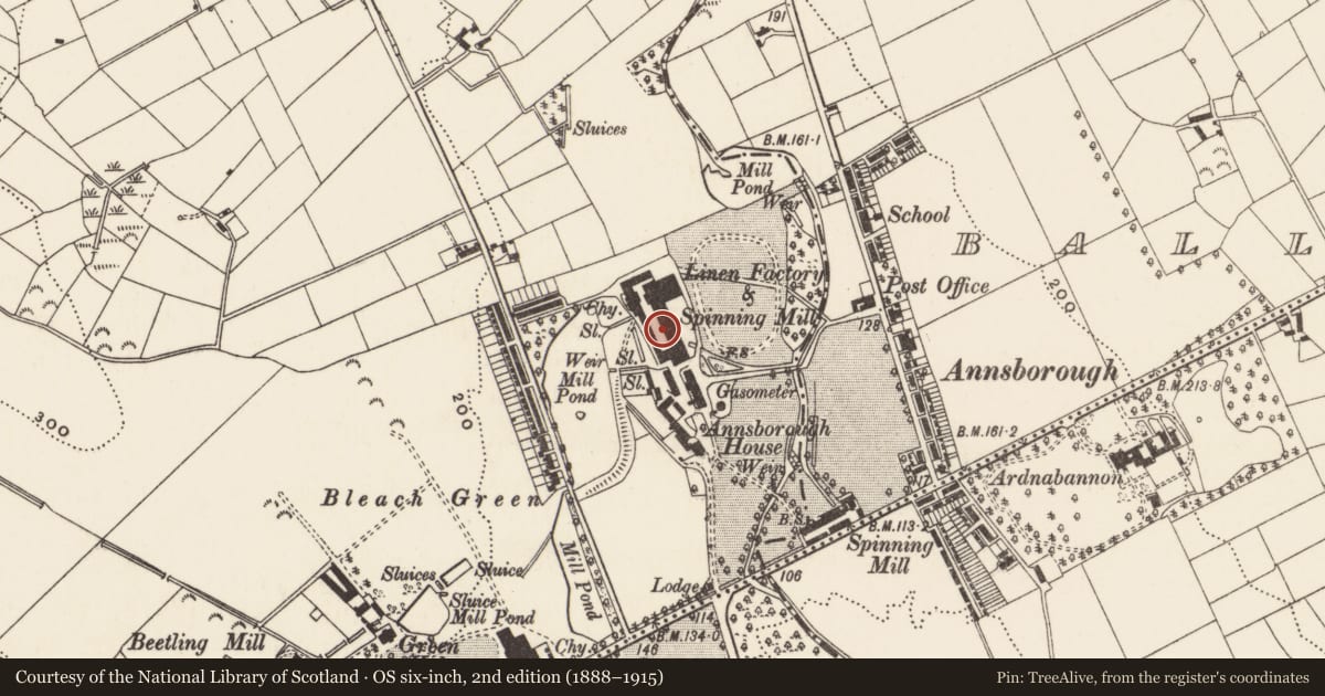 Ordnance Survey six-inch map, 2nd edition (1888–1915) covering the location of Standard Mill, Clarkill, Newry, Mourne and Down, with a pin at the register's coordinates