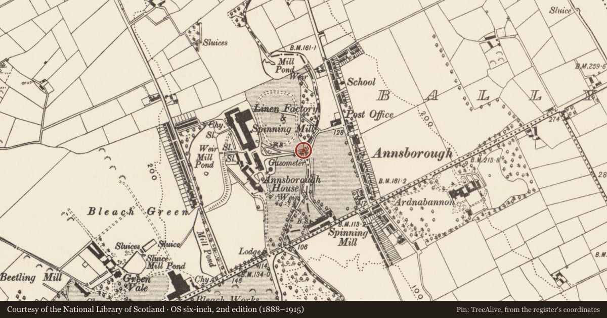 Ordnance Survey six-inch map, 2nd edition (1888–1915) covering the location of Bridge And Watch Chamber, Newry, Mourne and Down, with a pin at the register's coordinates