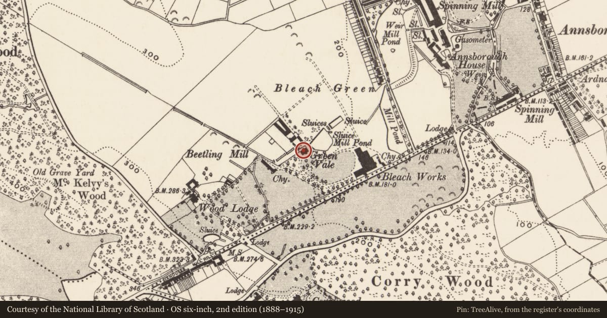 Ordnance Survey six-inch map, 2nd edition (1888–1915) covering the location of GREENVALE, Newry, Mourne and Down, with a pin at the register's coordinates
