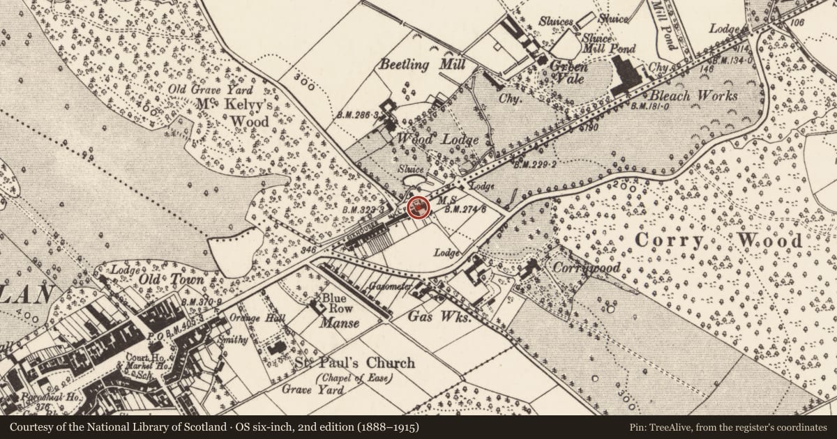Ordnance Survey six-inch map, 2nd edition (1888–1915) covering the location of 65 Mill Hill, Dundrinne, Newry, Mourne and Down, with a pin at the register's coordinates