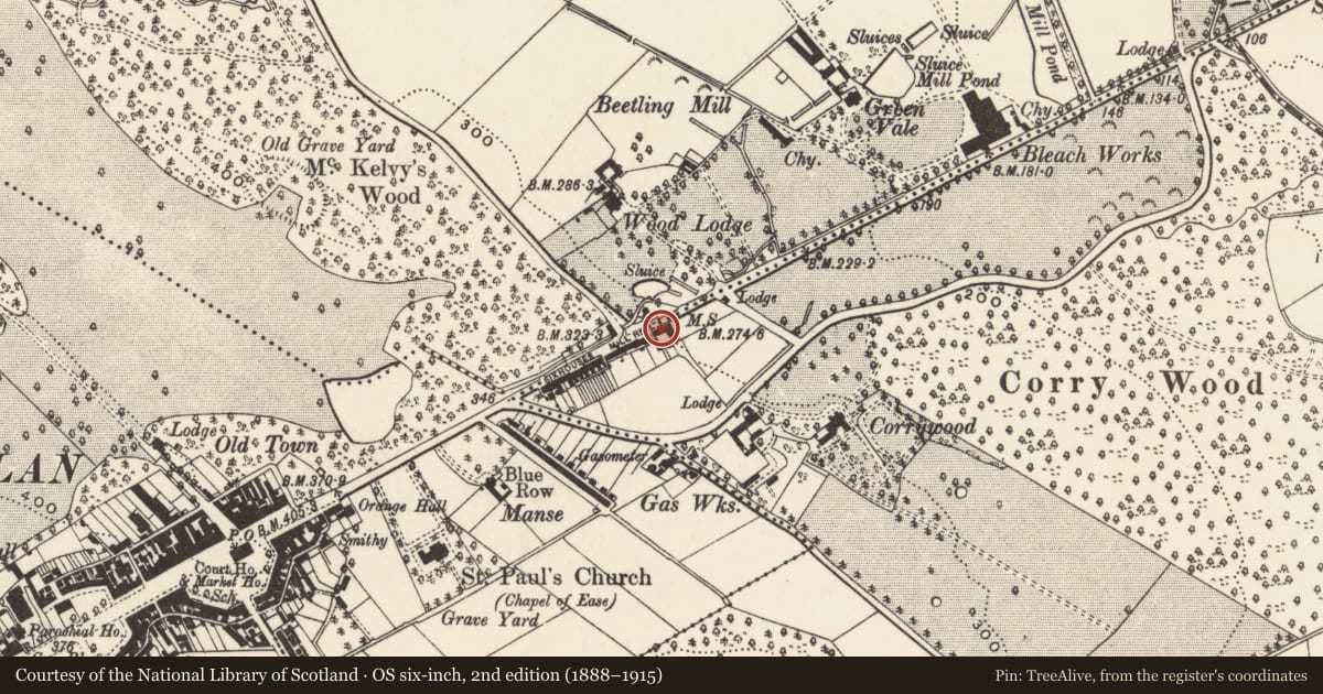 Ordnance Survey six-inch map, 2nd edition (1888–1915) covering the location of 67 Mill Hill, Dundrinne, Newry, Mourne and Down, with a pin at the register's coordinates