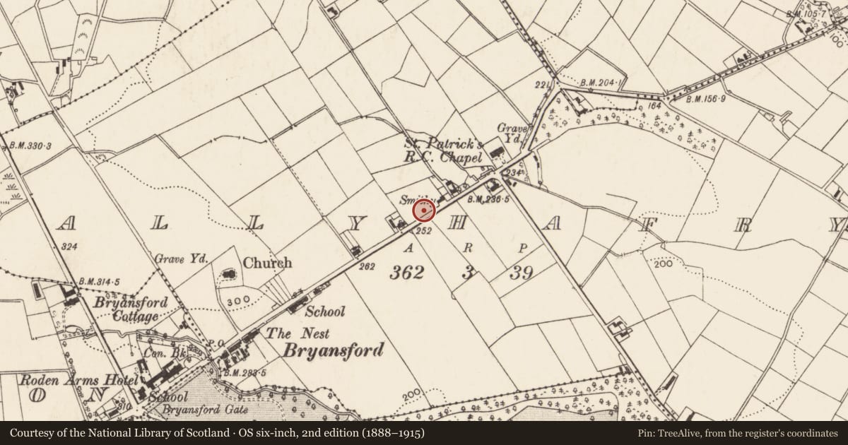 Ordnance Survey six-inch map, 2nd edition (1888–1915) covering the location of 15 Bryansford village (Wyllie Cottages), Ballyhafry, Newry, Mourne and Down, with a pin at the register's coordinates