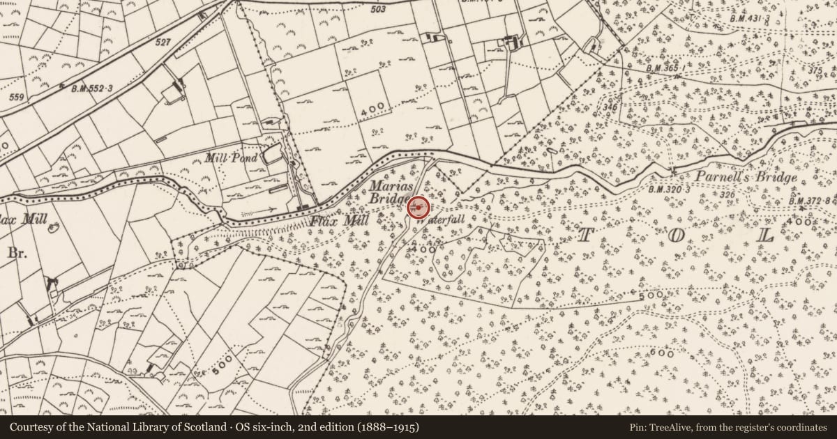 Ordnance Survey six-inch map, 2nd edition (1888–1915) covering the location of Maria's Bridge, Tollymore Park, Newry, Mourne and Down, with a pin at the register's coordinates