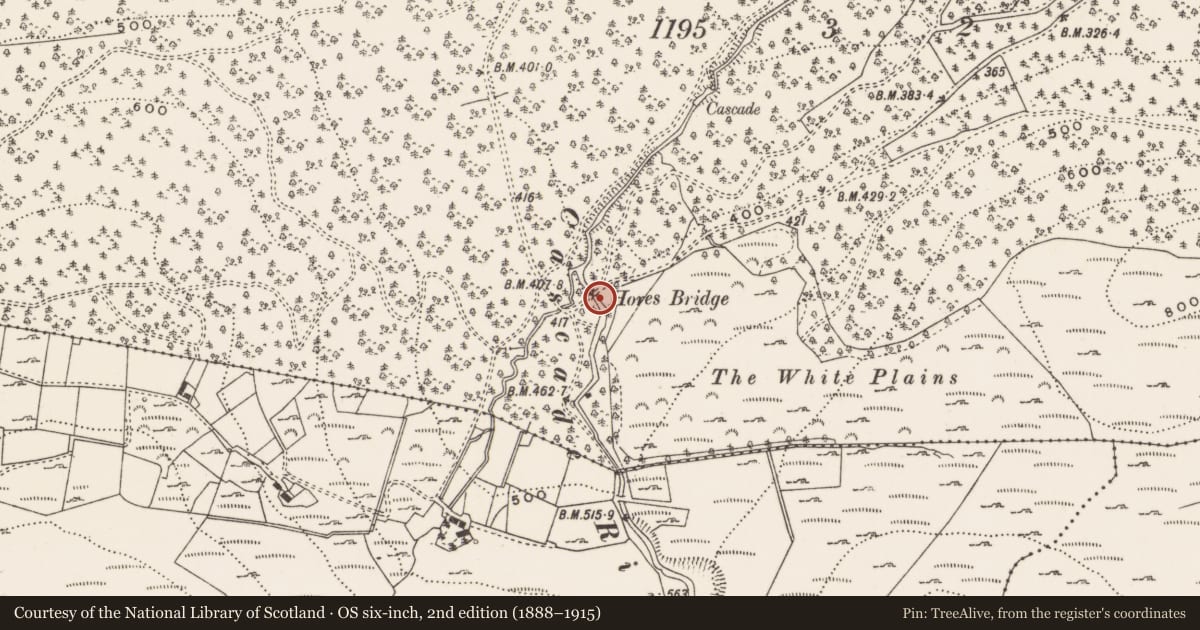 Ordnance Survey six-inch map, 2nd edition (1888–1915) covering the location of Hore's Bridge, Tollymore Park, Newry, Mourne and Down, with a pin at the register's coordinates
