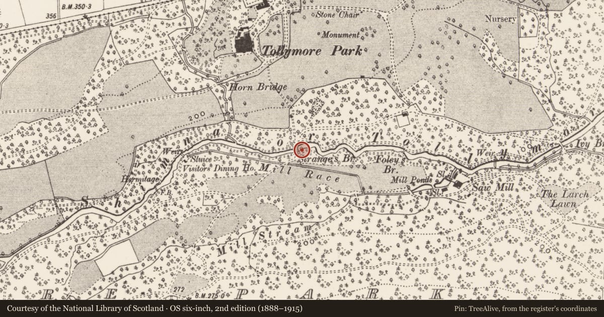 Ordnance Survey six-inch map, 2nd edition (1888–1915) covering the location of Old Bridge, Tollymore Park, Newry, Mourne and Down, with a pin at the register's coordinates
