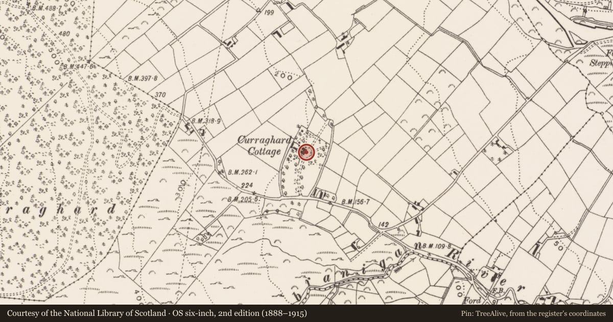 Ordnance Survey six-inch map, 2nd edition (1888–1915) covering the location of Currraghard Lodge, Tullybrannigan, Newry, Mourne and Down, with a pin at the register's coordinates