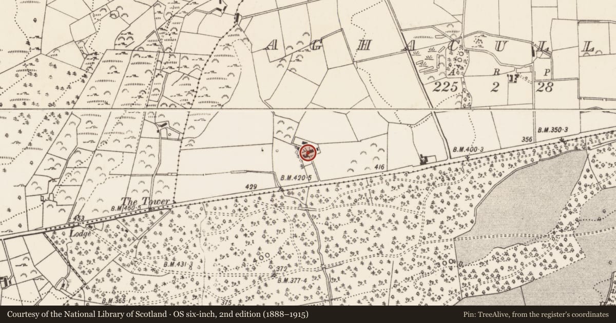 Ordnance Survey six-inch map, 2nd edition (1888–1915) covering the location of Tower Farm, Aghacullion, Newry, Mourne and Down, with a pin at the register's coordinates