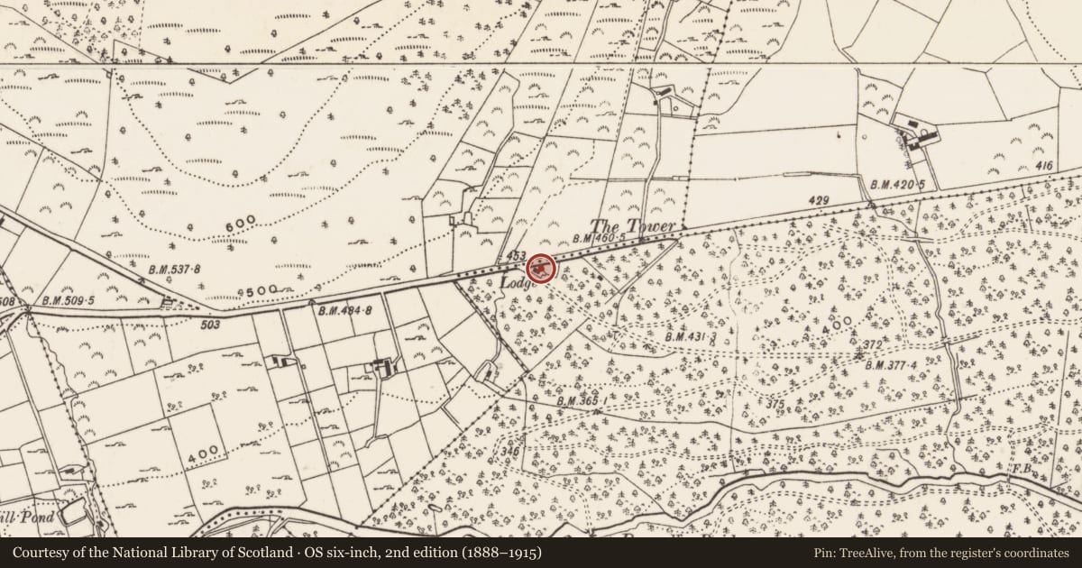Ordnance Survey six-inch map, 2nd edition (1888–1915) covering the location of White gate lodge, Tollymore Park, Newry, Mourne and Down, with a pin at the register's coordinates