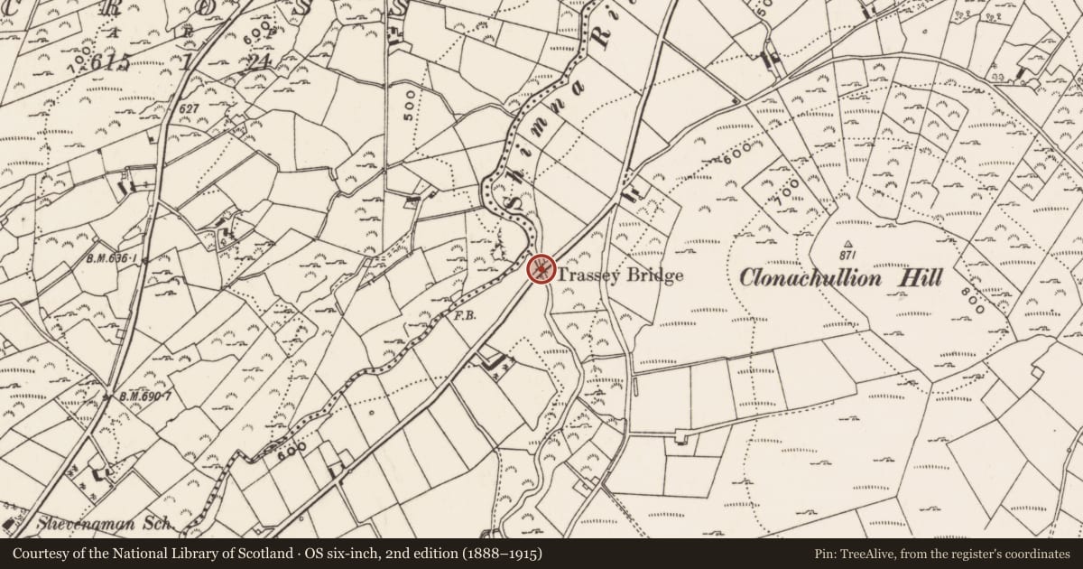 Ordnance Survey six-inch map, 2nd edition (1888–1915) covering the location of Trassey Bridge, Clonachullion, Newry, Mourne and Down, with a pin at the register's coordinates