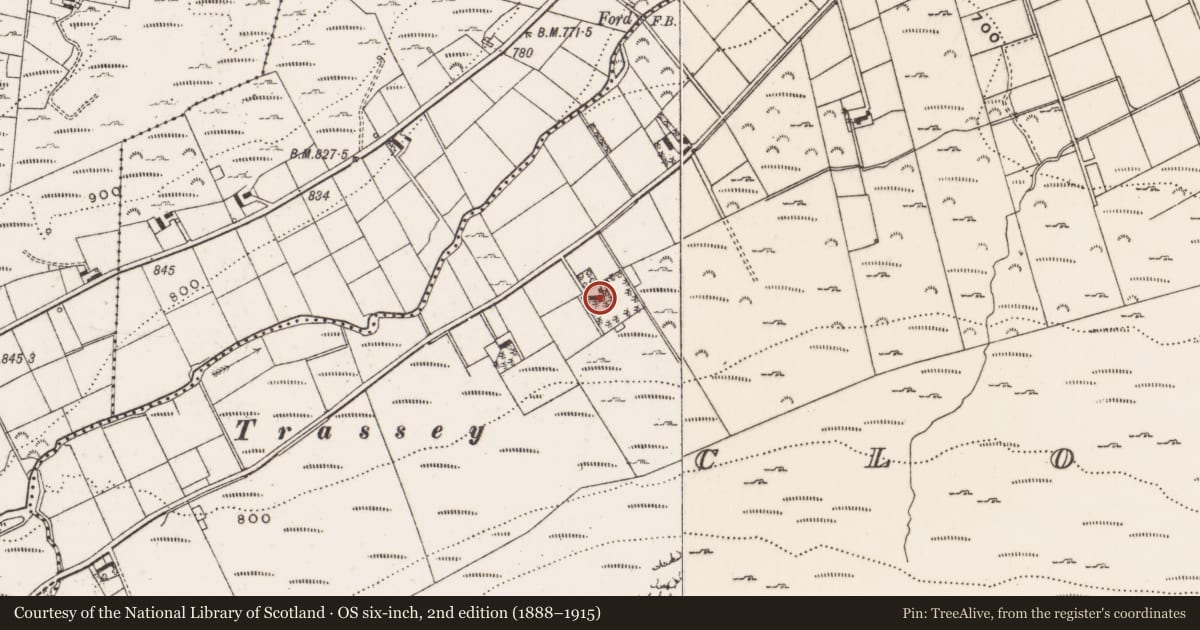 Ordnance Survey six-inch map, 2nd edition (1888–1915) covering the location of 66 Trassey Road, Clonachullion, Newry, Mourne and Down, with a pin at the register's coordinates