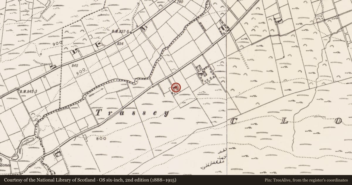 Ordnance Survey six-inch map, 2nd edition (1888–1915) covering the location of 70 Trassey Road, Clonachullion, Newry, Mourne and Down, with a pin at the register's coordinates