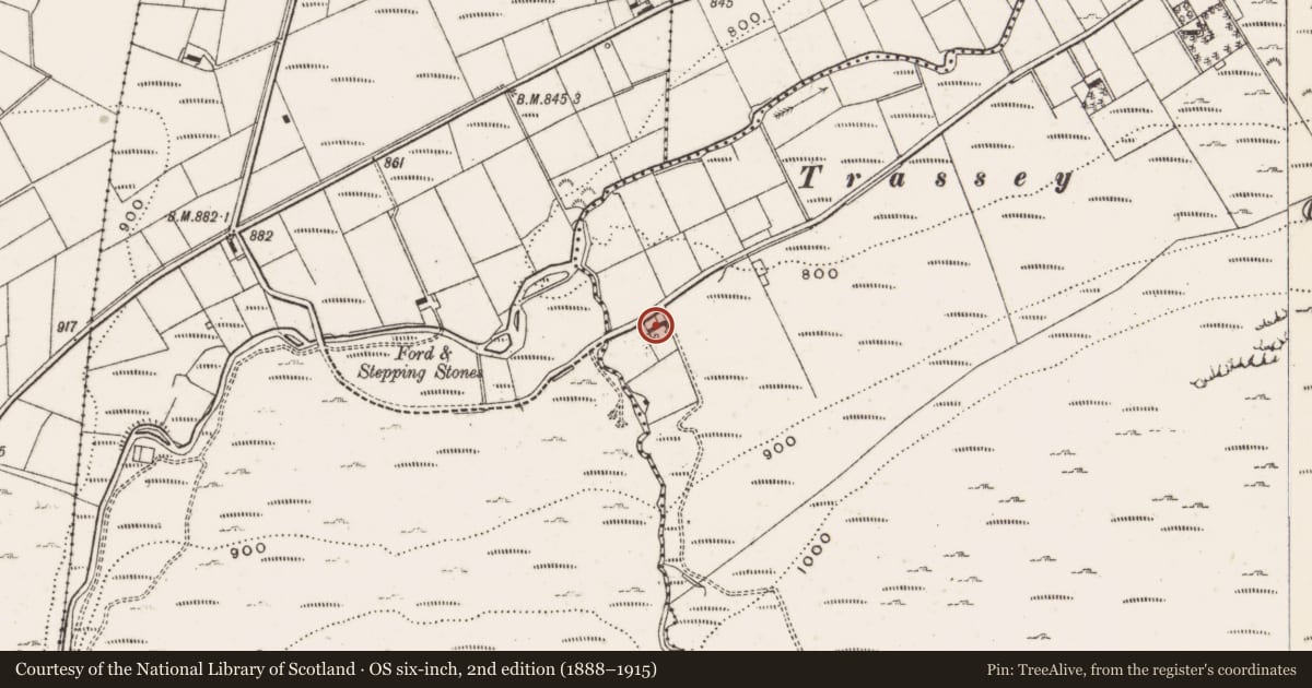 Ordnance Survey six-inch map, 2nd edition (1888–1915) covering the location of 76 Trassey Road, Clonachullion, Newry, Mourne and Down, with a pin at the register's coordinates