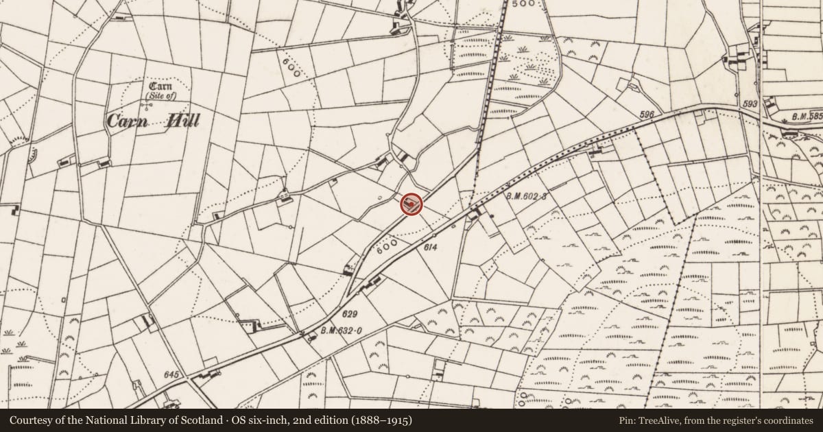 Ordnance Survey six-inch map, 2nd edition (1888–1915) covering the location of 11 Bog Road, Fofannybane, Newry, Mourne and Down, with a pin at the register's coordinates