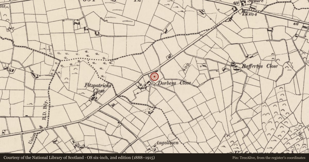 Ordnance Survey six-inch map, 2nd edition (1888–1915) covering the location of House at Dorbey's Close, Fofannyreagh, Newry, Mourne and Down, with a pin at the register's coordinates