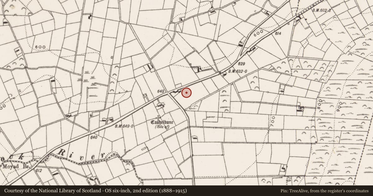 Ordnance Survey six-inch map, 2nd edition (1888–1915) covering the location of Site of former 129 Bryansford Road, Moyad, Newry, Mourne and Down, with a pin at the register's coordinates