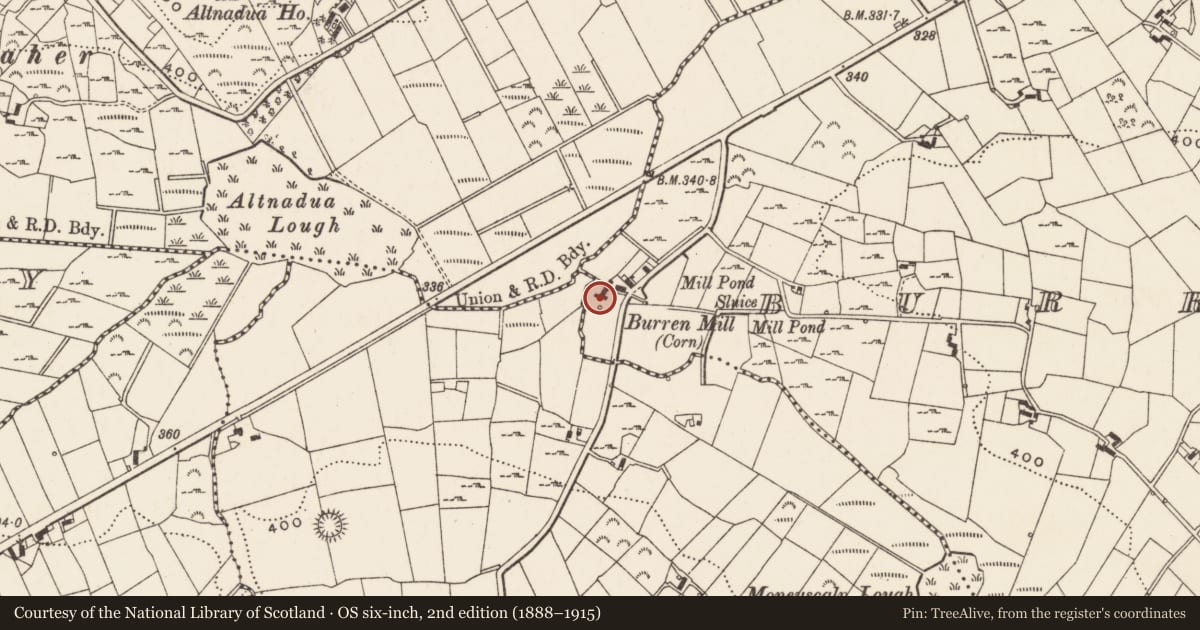 Ordnance Survey six-inch map, 2nd edition (1888–1915) covering the location of Remains of former Burren Mill, Burrenreagh, Newry, Mourne and Down, with a pin at the register's coordinates