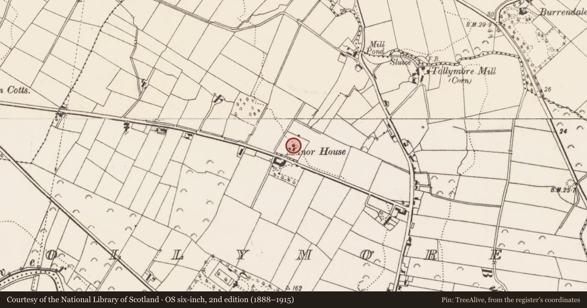 Ordnance Survey six-inch map, 2nd edition (1888–1915) covering the location of Manor House, Tollymore, Newry, Mourne and Down, with a pin at the register's coordinates