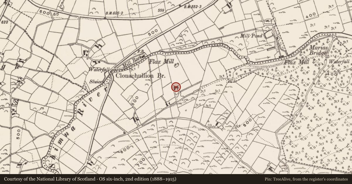 Ordnance Survey six-inch map, 2nd edition (1888–1915) covering the location of 24 Trassey Road, Clonachullion, Newry, Mourne and Down, with a pin at the register's coordinates