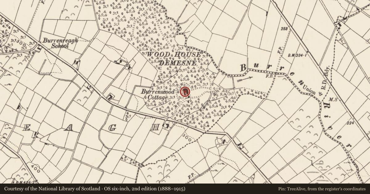 Ordnance Survey six-inch map, 2nd edition (1888–1915) covering the location of Burrenwood Cottage, Burrenreagh, Newry, Mourne and Down, with a pin at the register's coordinates