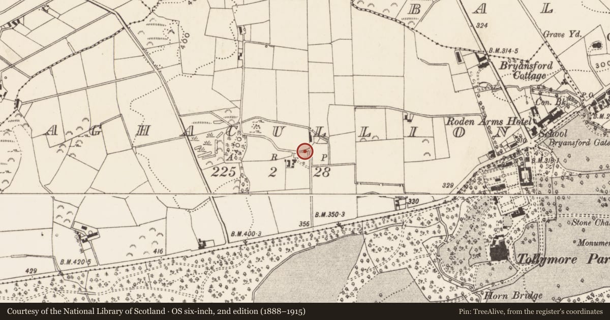 Ordnance Survey six-inch map, 2nd edition (1888–1915) covering the location of Site of former 19 Hilltown Road, Aghacullion, Newry, Mourne and Down, with a pin at the register's coordinates