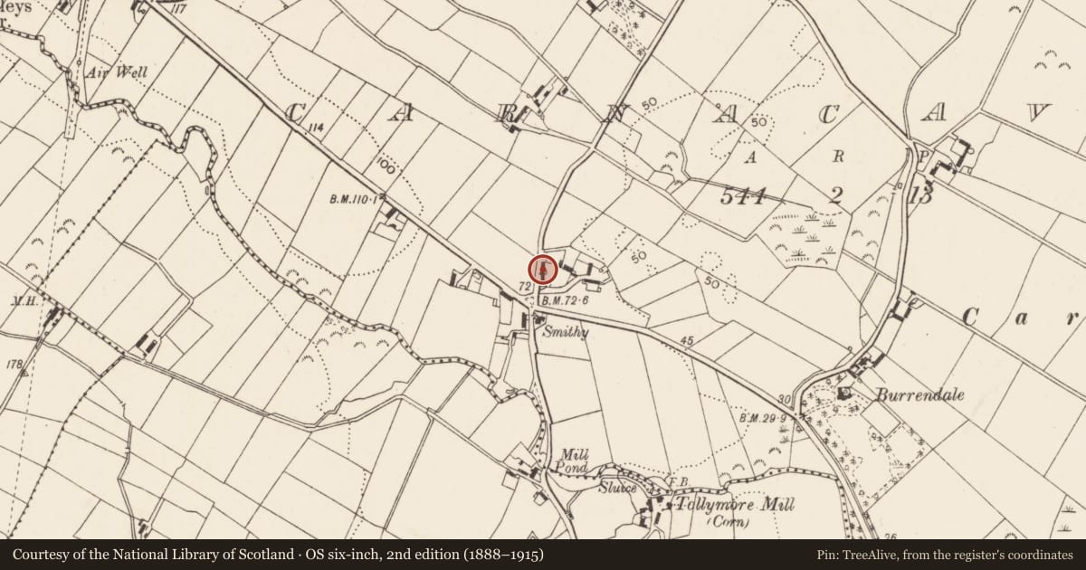 Ordnance Survey six-inch map, 2nd edition (1888–1915) covering the location of 1 Church Hill, Carnacavill, Newry, Mourne and Down, with a pin at the register's coordinates