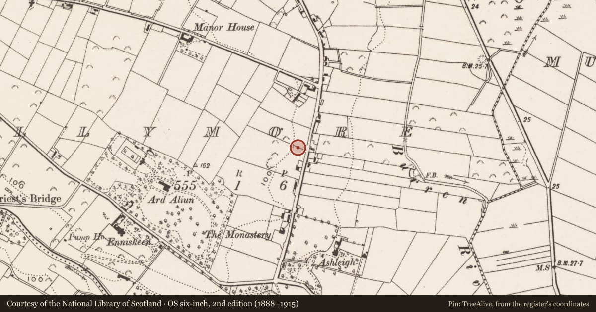 Ordnance Survey six-inch map, 2nd edition (1888–1915) covering the location of 10 Tollymore Road, Tullybrannigan, Newry, Mourne and Down, with a pin at the register's coordinates