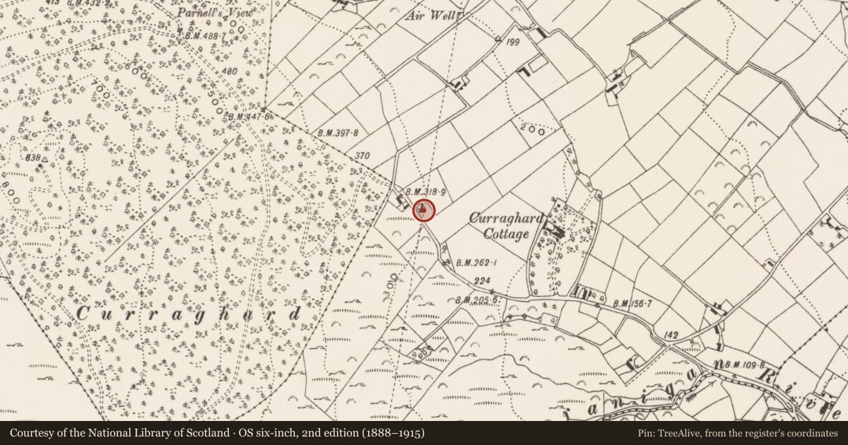 Ordnance Survey six-inch map, 2nd edition (1888–1915) covering the location of Water Commission employee's house 120 Tullybrannigan Road Tullybrannigan Newcastle Co. Down BT33 0PW, Newry, Mourne and Down, with a pin at the register's coordinates