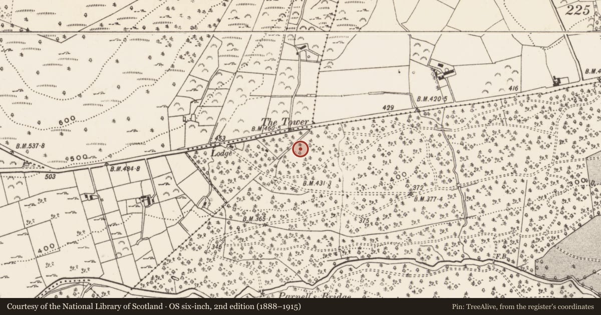 Ordnance Survey six-inch map, 2nd edition (1888–1915) covering the location of Tollymore Mountain Centre, Tollymore Park, Newry, Mourne and Down, with a pin at the register's coordinates