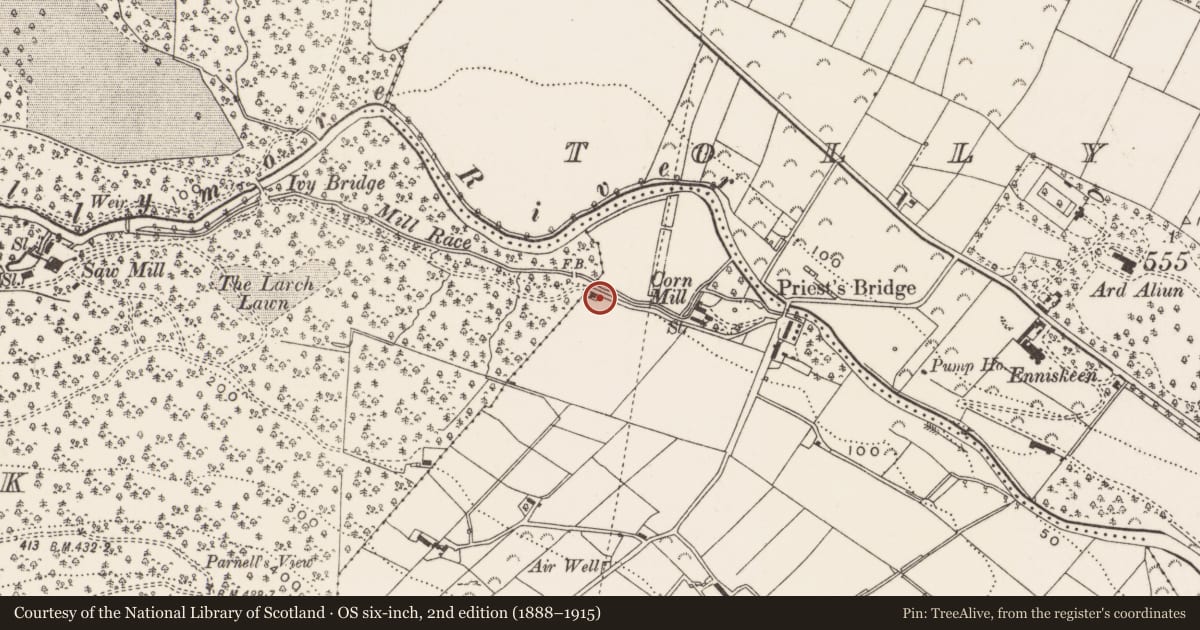 Ordnance Survey six-inch map, 2nd edition (1888–1915) covering the location of East Gate Lodge, Tollymore Park, Newry, Mourne and Down, with a pin at the register's coordinates
