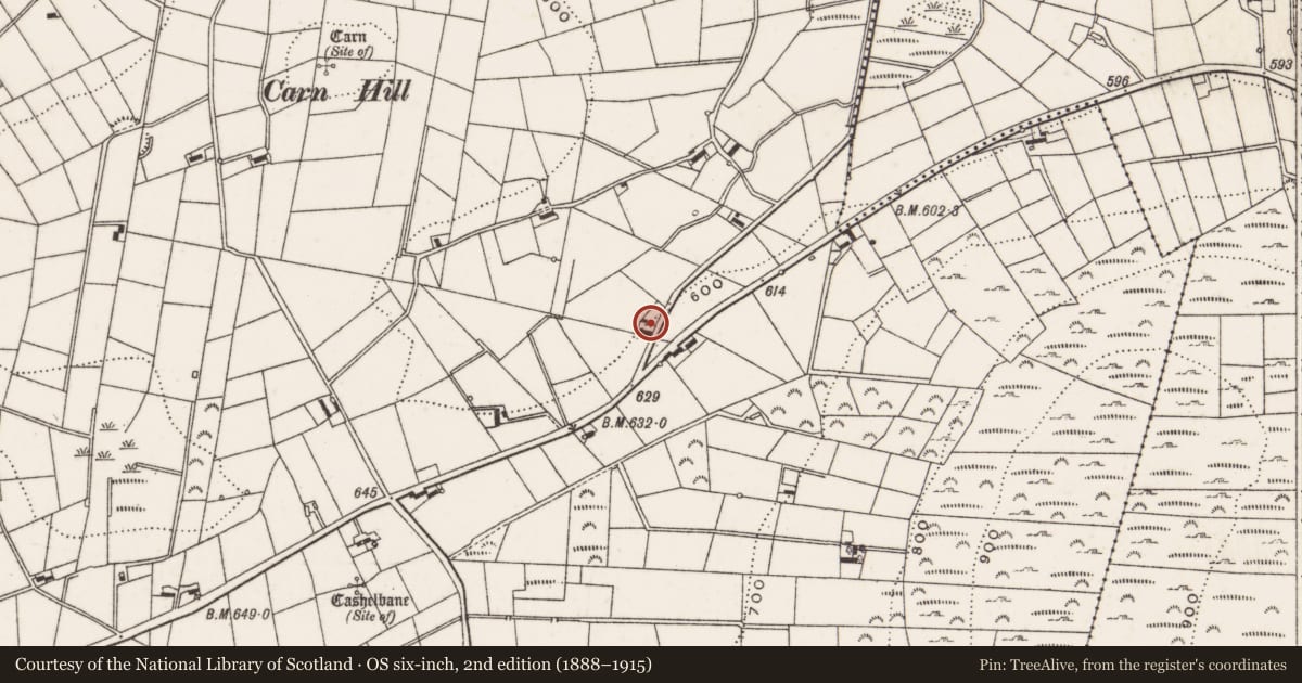 Ordnance Survey six-inch map, 2nd edition (1888–1915) covering the location of House, Moyad, Newry, Mourne and Down, with a pin at the register's coordinates