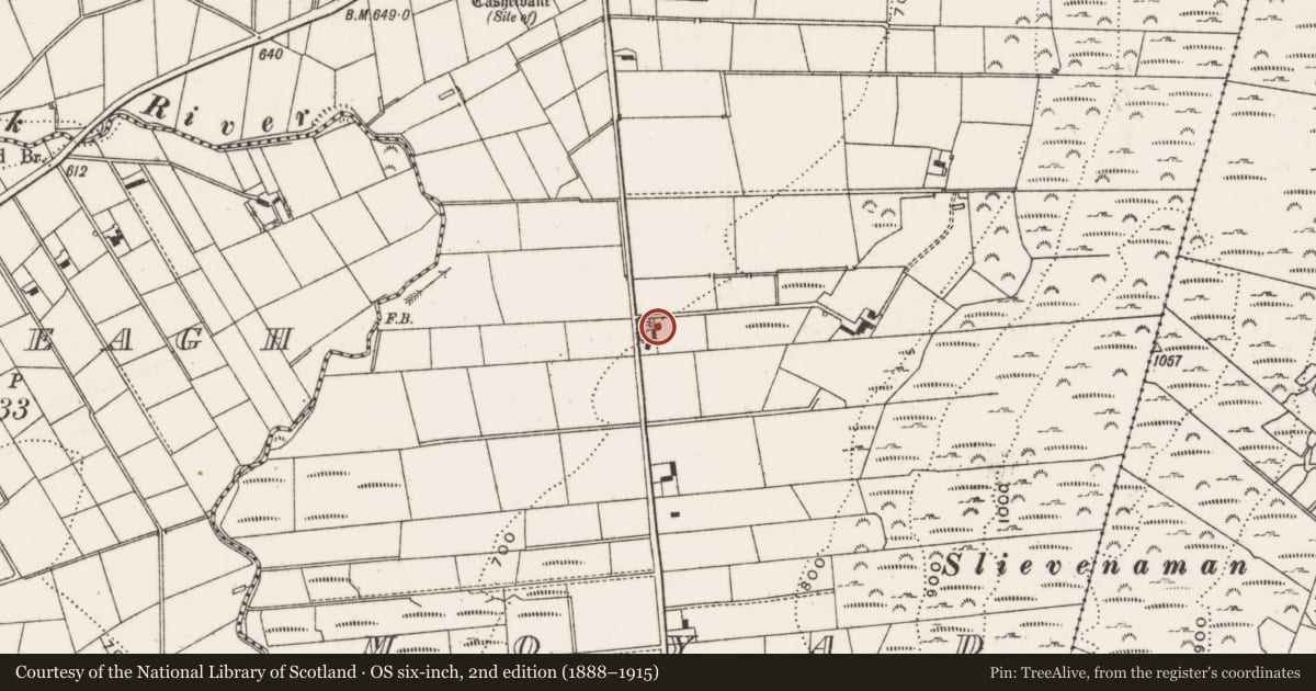 Ordnance Survey six-inch map, 2nd edition (1888–1915) covering the location of 18 Moyad Road, Newry, Mourne and Down, with a pin at the register's coordinates