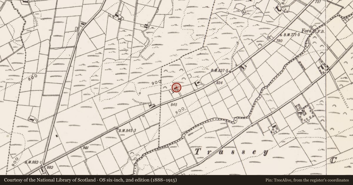Ordnance Survey six-inch map, 2nd edition (1888–1915) covering the location of 45 Slievenaman Road, Cross, Newry, Mourne and Down, with a pin at the register's coordinates