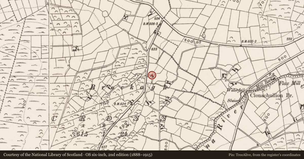 Ordnance Survey six-inch map, 2nd edition (1888–1915) covering the location of 6 Slievenaman Road, Cross, Newry, Mourne and Down, with a pin at the register's coordinates