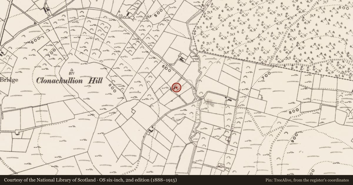 Ordnance Survey six-inch map, 2nd edition (1888–1915) covering the location of 34 Trassey Road, Clonachullion, Newry, Mourne and Down, with a pin at the register's coordinates