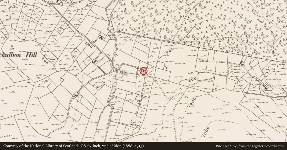 Ordnance Survey six-inch map, 2nd edition (1888–1915) covering the location of 38 Trassey Road, Clonachullion, Newry, Mourne and Down, with a pin at the register's coordinates