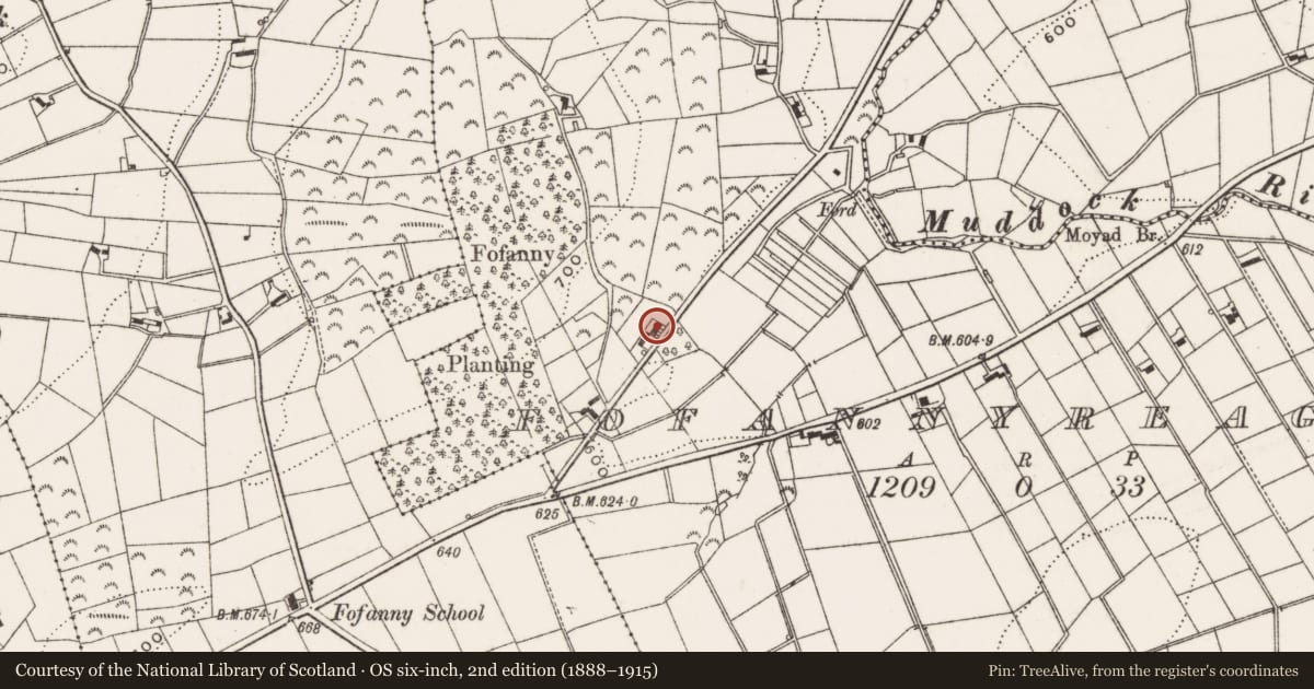 Ordnance Survey six-inch map, 2nd edition (1888–1915) covering the location of 46 Mill Road, Fofannyreagh, Newry, Mourne and Down, with a pin at the register's coordinates