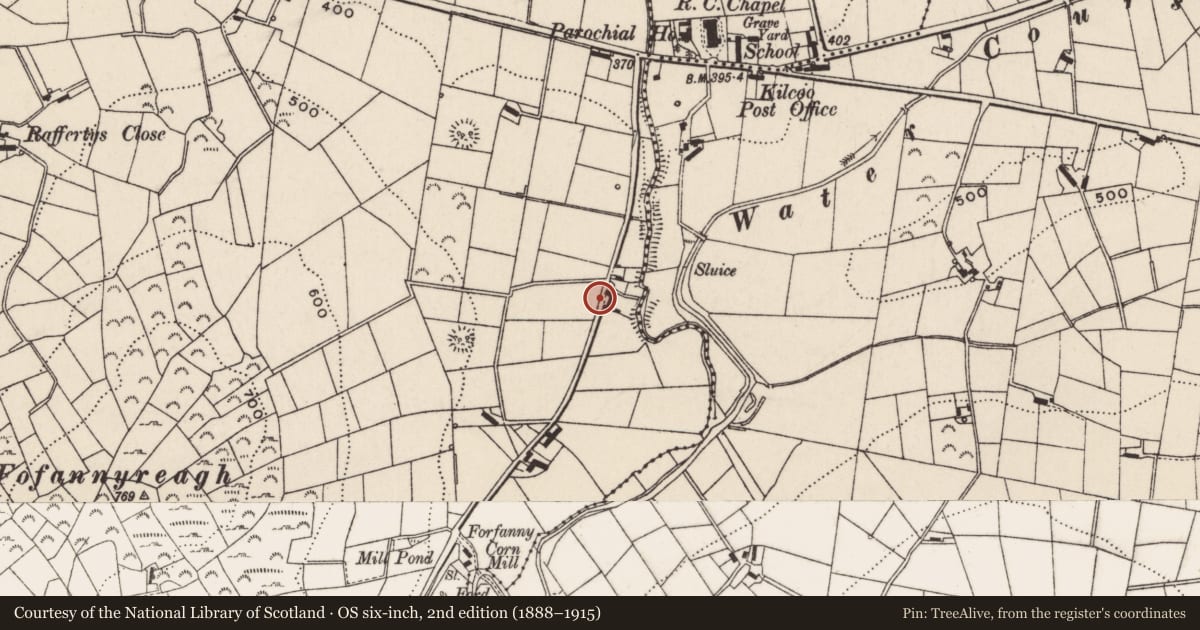 Ordnance Survey six-inch map, 2nd edition (1888–1915) covering the location of 6 Mill Road, Fofannyreagh, Newry, Mourne and Down, with a pin at the register's coordinates