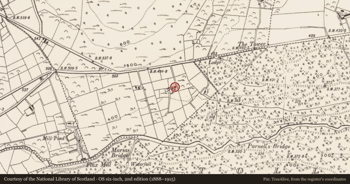 Ordnance Survey six-inch map, 2nd edition (1888–1915) covering the location of 46 Hilltown Road, Moneyscalp, Newry, Mourne and Down, with a pin at the register's coordinates