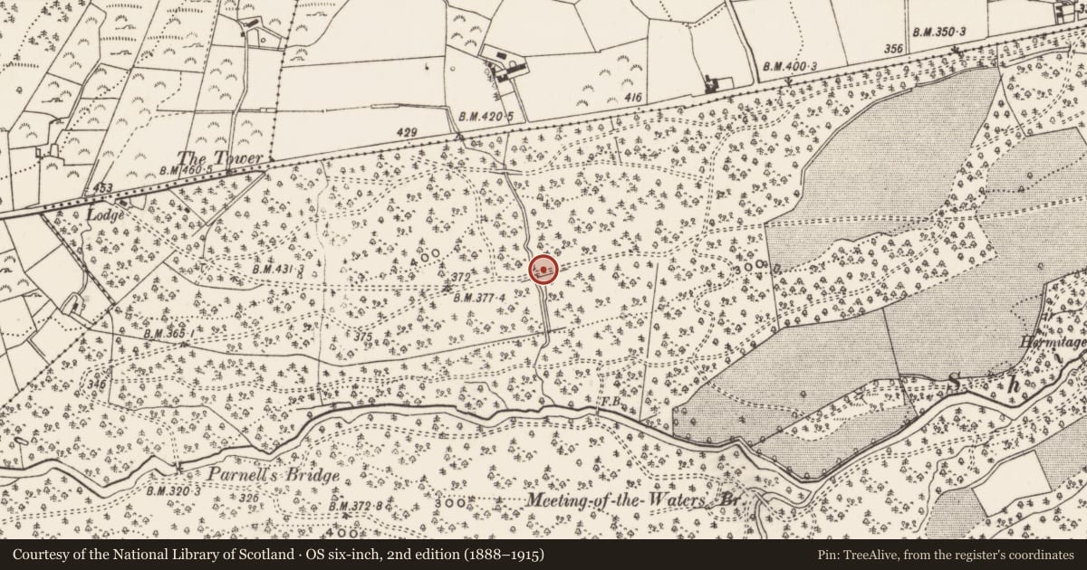Ordnance Survey six-inch map, 2nd edition (1888–1915) covering the location of Bridge, Tollymore Park, Newry, Mourne and Down, with a pin at the register's coordinates