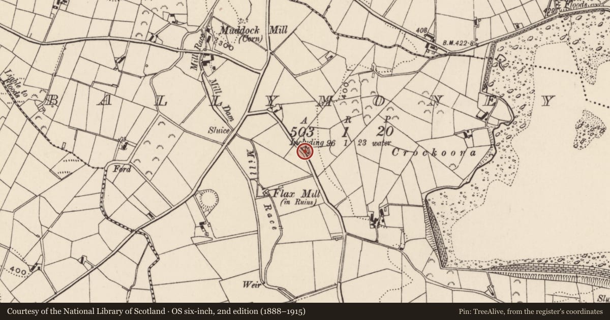 Ordnance Survey six-inch map, 2nd edition (1888–1915) covering the location of 23 Ballymoney Road, Newry, Mourne and Down, with a pin at the register's coordinates