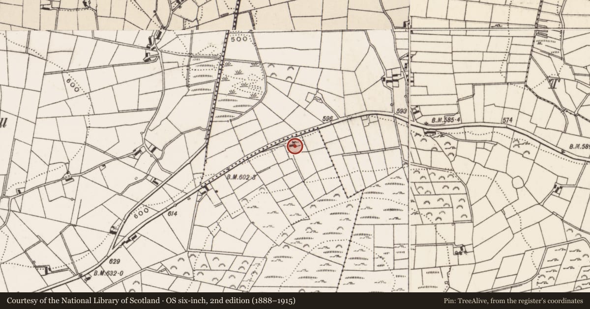 Ordnance Survey six-inch map, 2nd edition (1888–1915) covering the location of 141 Byransford Road, Moyad, Newry, Mourne and Down, with a pin at the register's coordinates