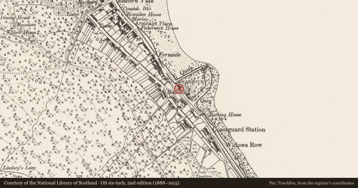 Ordnance Survey six-inch map, 2nd edition (1888–1915) covering the location of (Site of) Public toilet, Ballaghbeg, Newry, Mourne and Down, with a pin at the register's coordinates