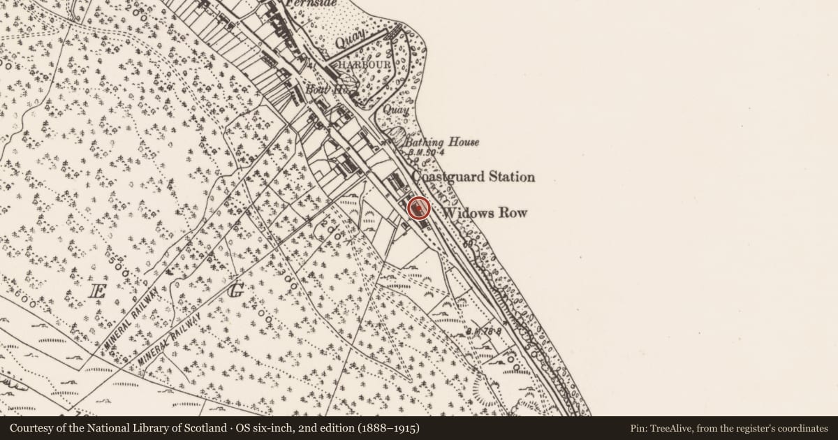 Ordnance Survey six-inch map, 2nd edition (1888–1915) covering the location of 161 South Promenade ('Widows' Row'), Ballaghbeg, Newry, Mourne and Down, with a pin at the register's coordinates