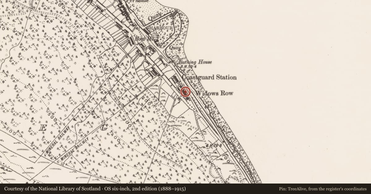 Ordnance Survey six-inch map, 2nd edition (1888–1915) covering the location of 163 South Promenade ('Widows' Row'), Ballaghbeg, Newry, Mourne and Down, with a pin at the register's coordinates