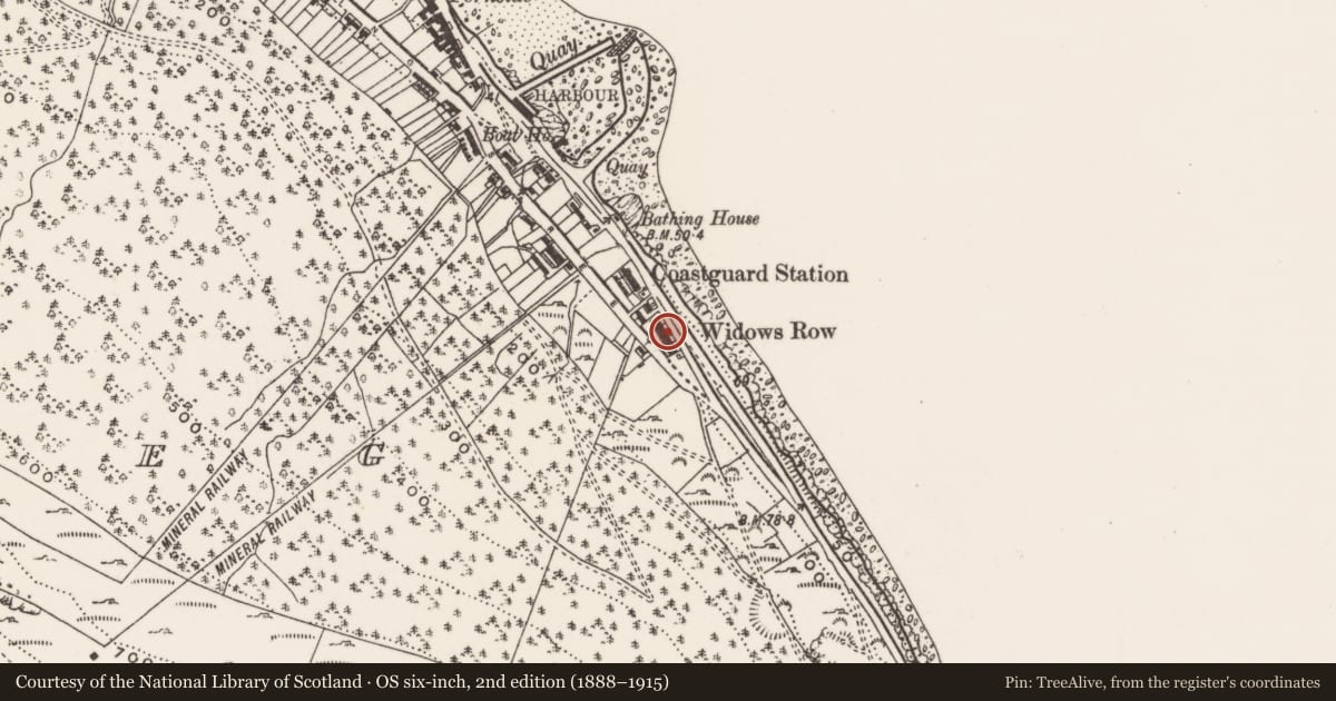 Ordnance Survey six-inch map, 2nd edition (1888–1915) covering the location of 167 South Promenade ('Widows' Row'), Ballaghbeg, Newry, Mourne and Down, with a pin at the register's coordinates