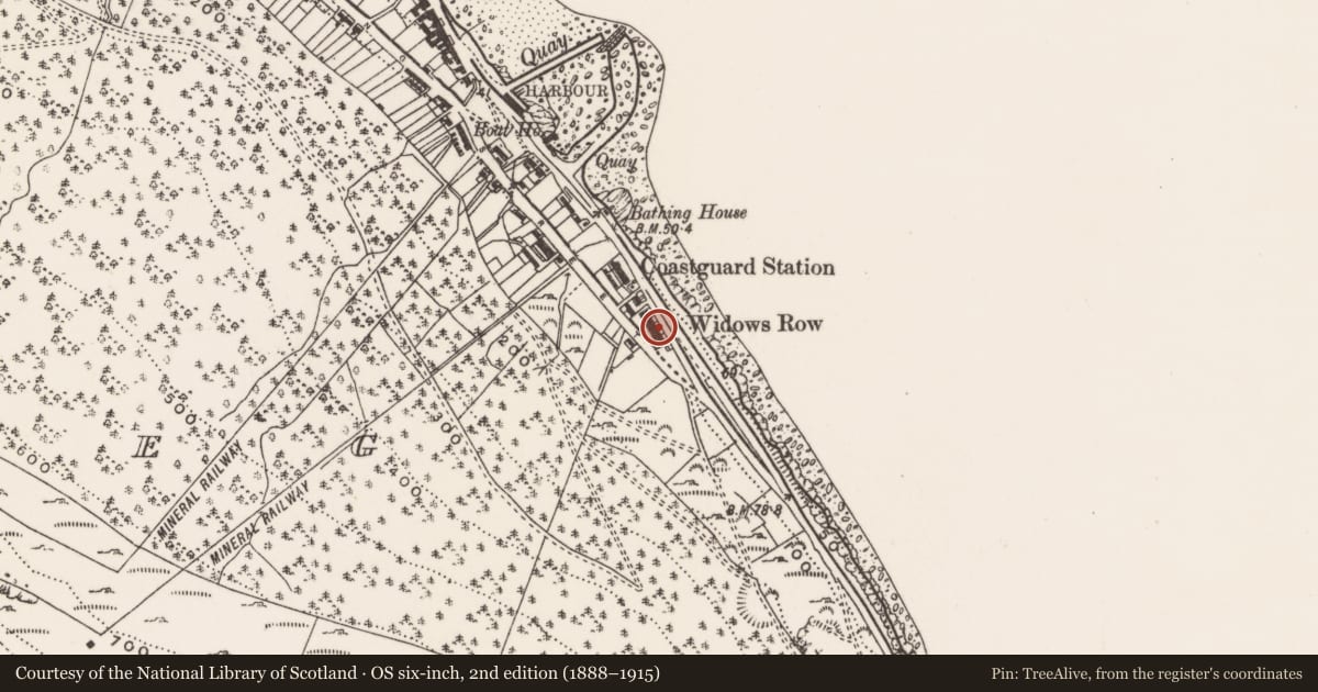 Ordnance Survey six-inch map, 2nd edition (1888–1915) covering the location of 169 South Promenade ('Widows' Row'), Ballaghbeg, Newry, Mourne and Down, with a pin at the register's coordinates