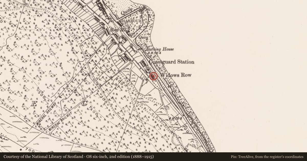 Ordnance Survey six-inch map, 2nd edition (1888–1915) covering the location of 171 South Promenade ('Widows' Row'), Ballaghbeg, Newry, Mourne and Down, with a pin at the register's coordinates